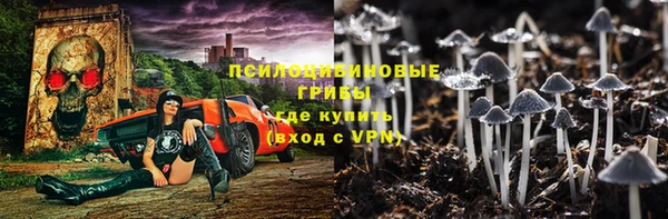 хмурый Алексеевка